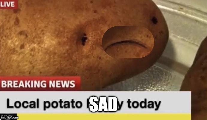 Joyous potato | SAD | image tagged in joyous potato | made w/ Imgflip meme maker