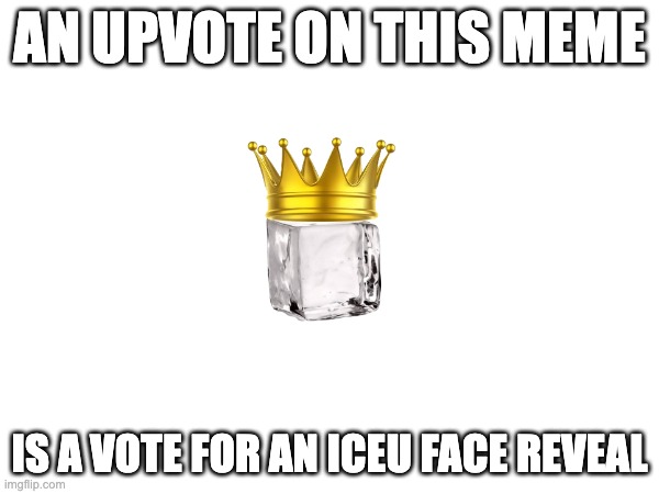 promises | AN UPVOTE ON THIS MEME; IS A VOTE FOR AN ICEU FACE REVEAL | image tagged in iceu | made w/ Imgflip meme maker