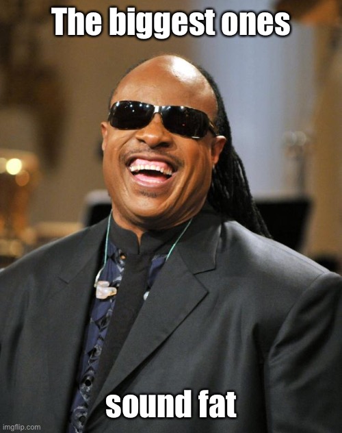 Stevie Wonder | The biggest ones sound fat | image tagged in stevie wonder | made w/ Imgflip meme maker