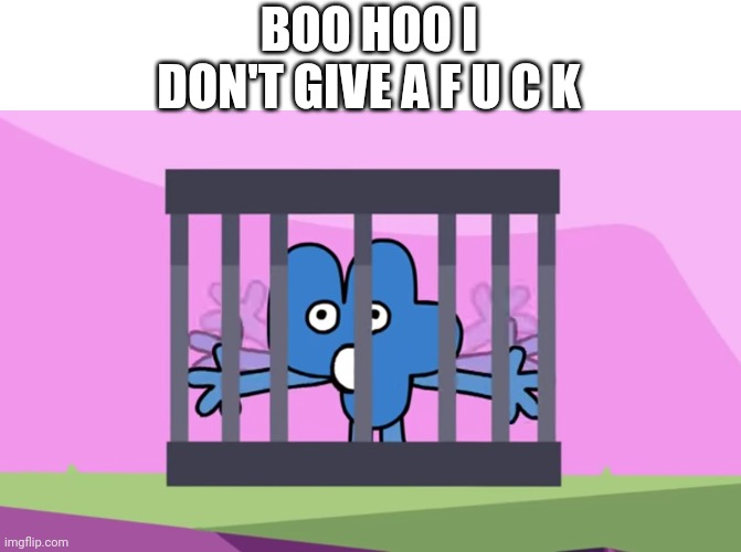 Four in a cage | BOO HOO I DON'T GIVE A F U C K | image tagged in four in a cage | made w/ Imgflip meme maker