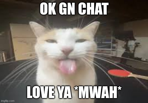 Cat | OK GN CHAT; LOVE YA *MWAH* | image tagged in cat | made w/ Imgflip meme maker