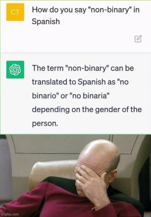 Please don't explain it to me | image tagged in memes,captain picard facepalm,binary,non binary,wtf,we don't care | made w/ Imgflip meme maker