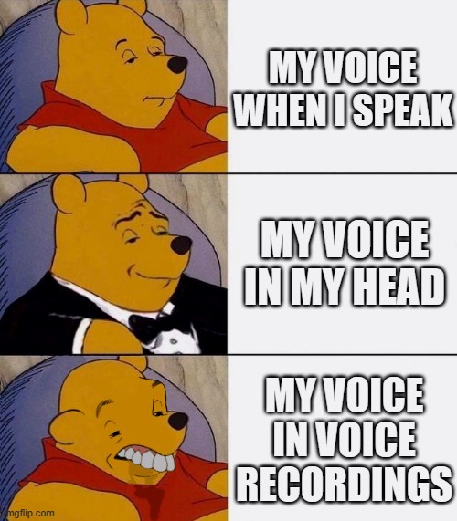 Voices (relatable) | MY VOICE WHEN I SPEAK; MY VOICE IN MY HEAD; MY VOICE IN VOICE RECORDINGS | image tagged in best better blurst | made w/ Imgflip meme maker