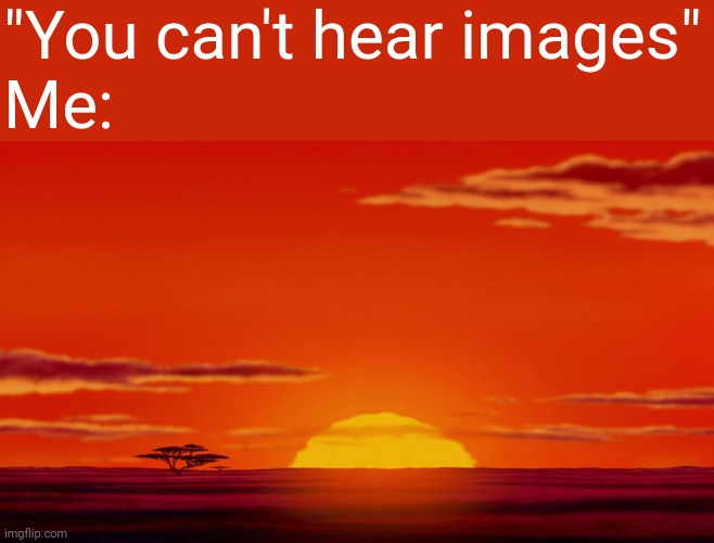 "You can't hear images"
Me: | image tagged in the lion king | made w/ Imgflip meme maker