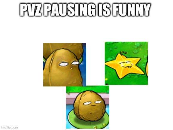 Blank White Template | PVZ PAUSING IS FUNNY | image tagged in blank white template | made w/ Imgflip meme maker