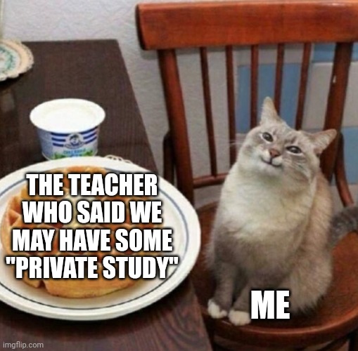 Cat likes their waffle | THE TEACHER WHO SAID WE MAY HAVE SOME "PRIVATE STUDY"; ME | image tagged in cat likes their waffle | made w/ Imgflip meme maker