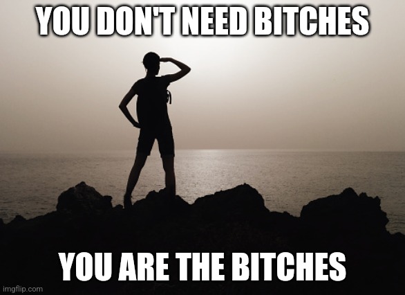 Motivation | YOU DON'T NEED BITCHES YOU ARE THE BITCHES | image tagged in motivation | made w/ Imgflip meme maker