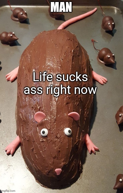 chocolate rat | MAN; Life sucks ass right now | image tagged in chocolate rat | made w/ Imgflip meme maker