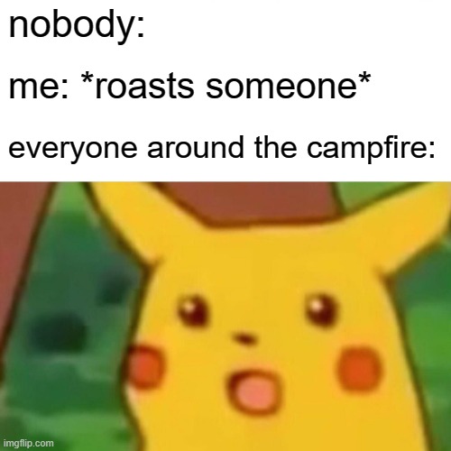 Image Title | nobody:; me: *roasts someone*; everyone around the campfire: | image tagged in memes,surprised pikachu | made w/ Imgflip meme maker