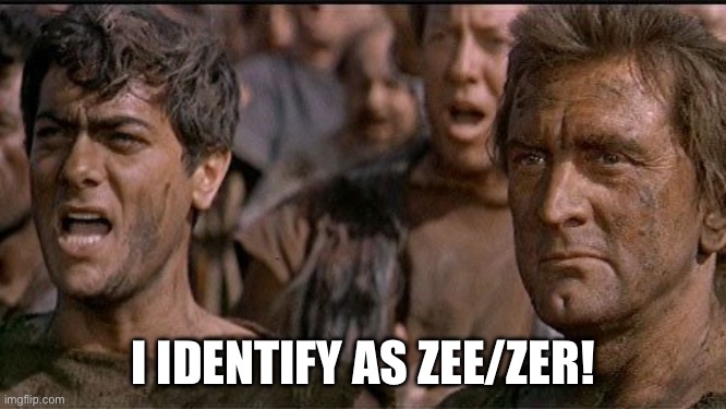 i am spartacus | I IDENTIFY AS ZEE/ZER! | image tagged in i am spartacus | made w/ Imgflip meme maker