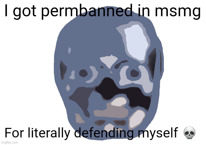Shitmods at their finest | I got permbanned in msmg; For literally defending myself 💀 | image tagged in low quality skull emoji | made w/ Imgflip meme maker