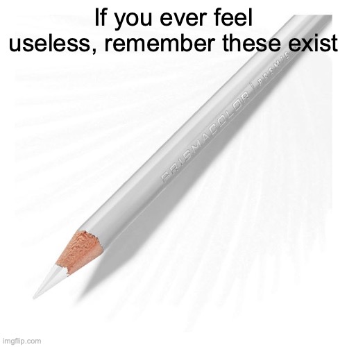 useless | If you ever feel useless, remember these exist | image tagged in useless | made w/ Imgflip meme maker