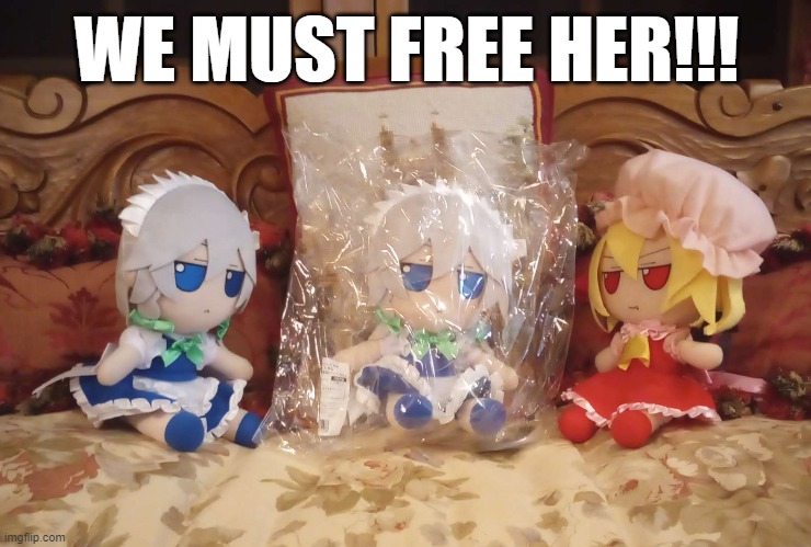 Free The Fumo! | WE MUST FREE HER!!! | image tagged in fumo,touhou,fumofumo | made w/ Imgflip meme maker