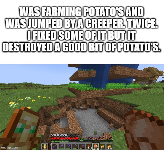 dang... | WAS FARMING POTATO'S AND WAS JUMPED BY A CREEPER. TWICE. I FIXED SOME OF IT BUT IT DESTROYED A GOOD BIT OF POTATO'S. | image tagged in technoblade | made w/ Imgflip meme maker