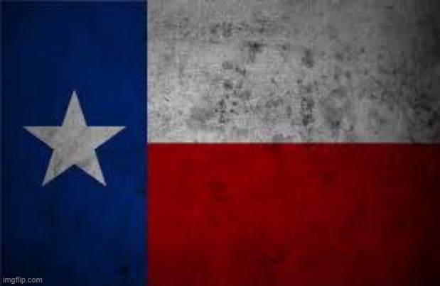 Texas Pledge | image tagged in texas pledge | made w/ Imgflip meme maker