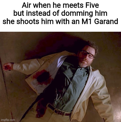 Dead Walter White | Air when he meets Five but instead of domming him she shoots him with an M1 Garand | image tagged in dead walter white | made w/ Imgflip meme maker