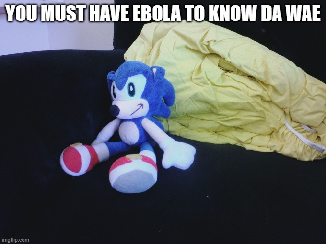 sonic questioning life | YOU MUST HAVE EBOLA TO KNOW DA WAE | image tagged in sonic questioning life | made w/ Imgflip meme maker