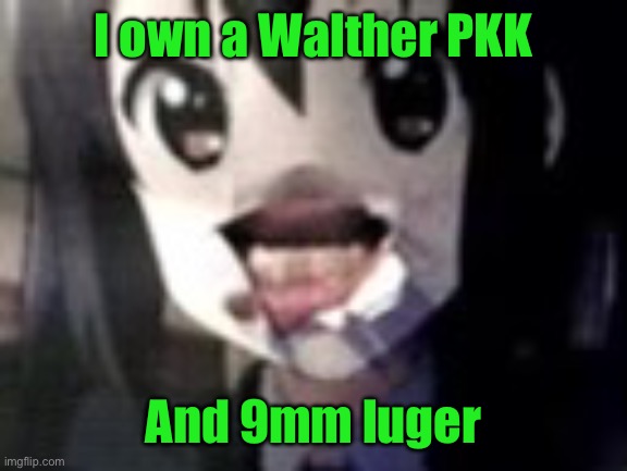 guh | I own a Walther PKK; And 9mm luger | image tagged in guh | made w/ Imgflip meme maker