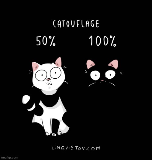 A Cat's Way Of Thinking | image tagged in memes,comics/cartoons,cats,camouflage,part,all | made w/ Imgflip meme maker