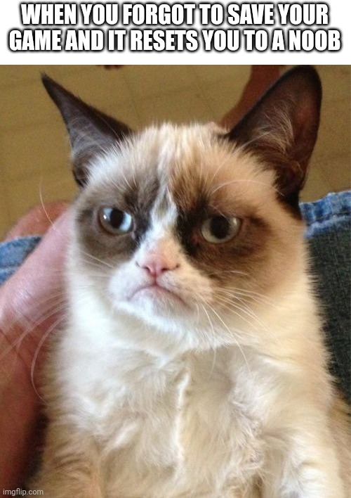 You forgot to save | WHEN YOU FORGOT TO SAVE YOUR GAME AND IT RESETS YOU TO A NOOB | image tagged in memes,grumpy cat,video games | made w/ Imgflip meme maker
