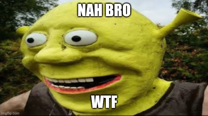 shrek nah bro | NAH BRO WTF | image tagged in shrek nah bro | made w/ Imgflip meme maker