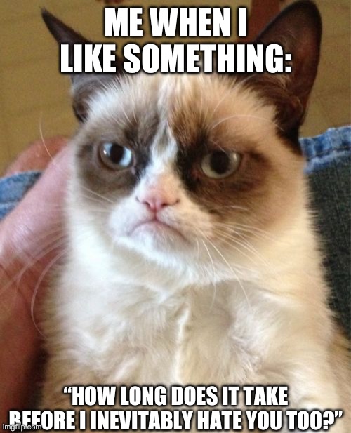 The average is four months. | ME WHEN I LIKE SOMETHING:; “HOW LONG DOES IT TAKE BEFORE I INEVITABLY HATE YOU TOO?” | image tagged in memes,grumpy cat,hate,life sucks | made w/ Imgflip meme maker