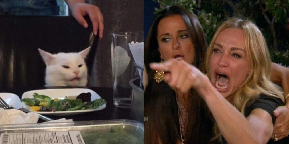 lady and cat argue Blank Meme Template