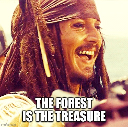 JACK LAUGH | THE FOREST IS THE TREASURE | image tagged in jack laugh | made w/ Imgflip meme maker