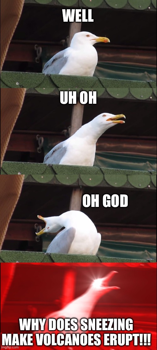 Inhaling Seagull Meme | WELL; UH OH; OH GOD; WHY DOES SNEEZING MAKE VOLCANOES ERUPT!!! | image tagged in memes,inhaling seagull | made w/ Imgflip meme maker
