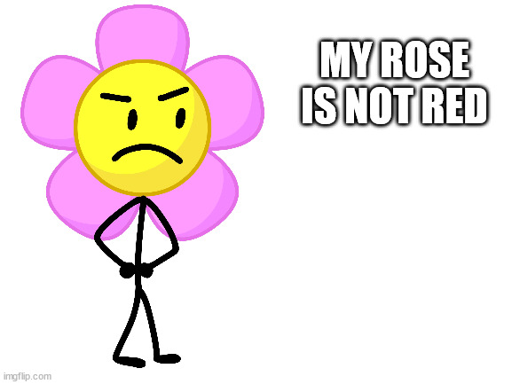 Blank White Template | MY ROSE IS NOT RED | image tagged in blank white template | made w/ Imgflip meme maker