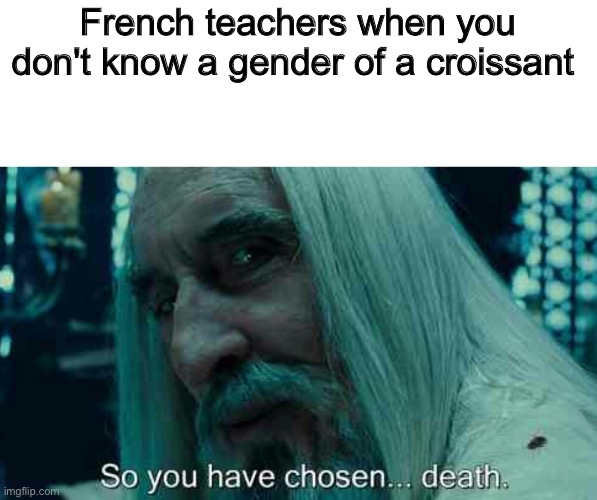 French teachers be like | French teachers when you don't know a gender of a croissant | image tagged in so you have chosen death,memes,true,school,french,offensive | made w/ Imgflip meme maker