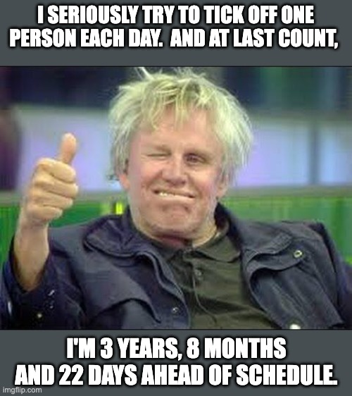 Ahead of schedule | I SERIOUSLY TRY TO TICK OFF ONE PERSON EACH DAY.  AND AT LAST COUNT, I'M 3 YEARS, 8 MONTHS AND 22 DAYS AHEAD OF SCHEDULE. | image tagged in gary busey approves,dad joke | made w/ Imgflip meme maker