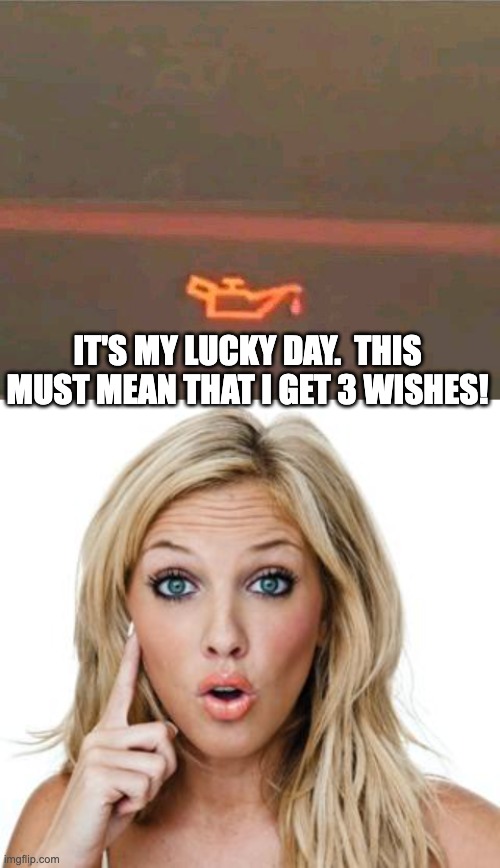 3 wishes | IT'S MY LUCKY DAY.  THIS MUST MEAN THAT I GET 3 WISHES! | image tagged in dumb blonde,dad joke | made w/ Imgflip meme maker