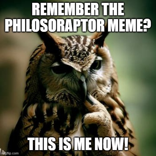 Philosobird | REMEMBER THE PHILOSORAPTOR MEME? THIS IS ME NOW! | image tagged in philosobird | made w/ Imgflip meme maker