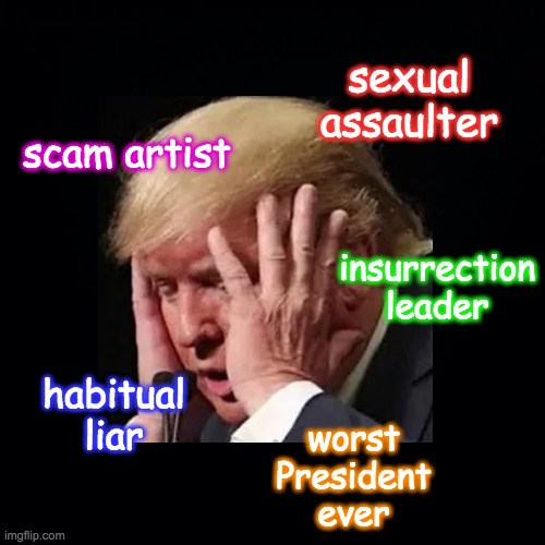 Not a fan. | sexual assaulter; scam artist; insurrection
leader; habitual
liar; worst
President
ever | image tagged in memes,trump,doge | made w/ Imgflip meme maker