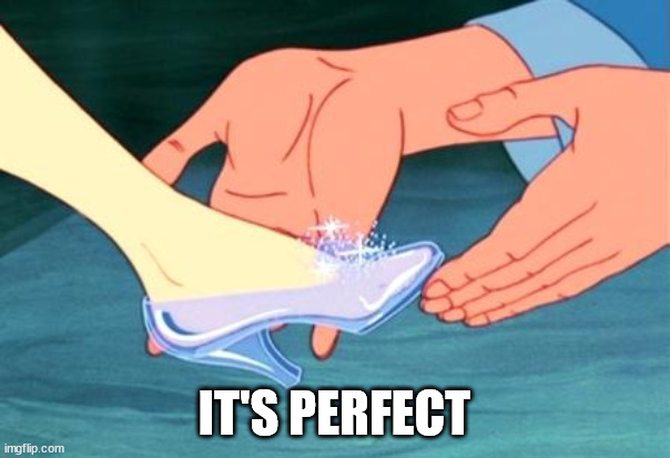 cinderella shoe fits | IT'S PERFECT | image tagged in cinderella shoe fits | made w/ Imgflip meme maker