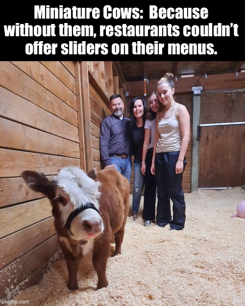 Sliders | Miniature Cows:  Because without them, restaurants couldn’t offer sliders on their menus. | image tagged in where's the beef | made w/ Imgflip meme maker