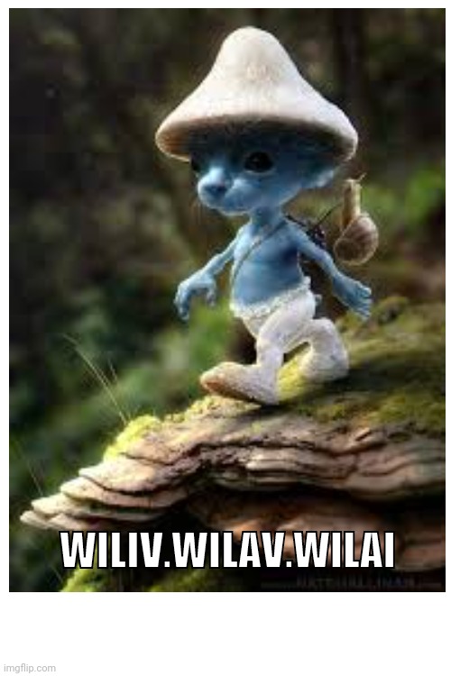 We live | WILIV.WILAV.WILAI | image tagged in smurf,cat,trending,blue | made w/ Imgflip meme maker