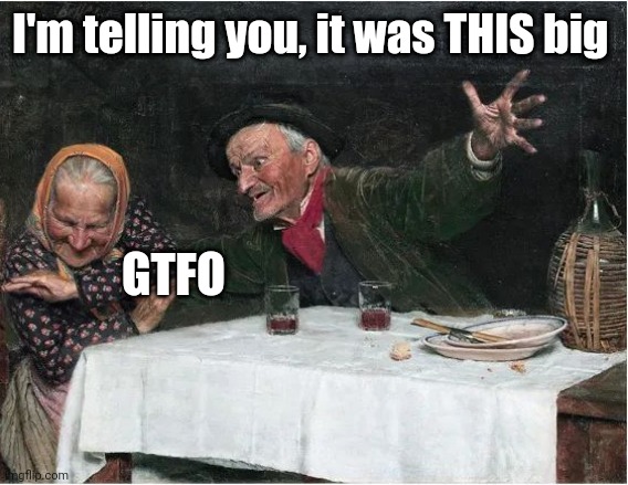 It was this big | I'm telling you, it was THIS big; GTFO | image tagged in fish,fishing,lies | made w/ Imgflip meme maker