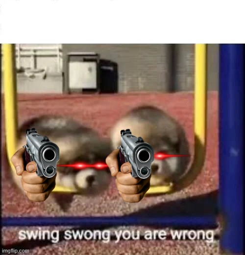 SWING SWONG YOU ARE WRONG | image tagged in swing swong you are wrong | made w/ Imgflip meme maker
