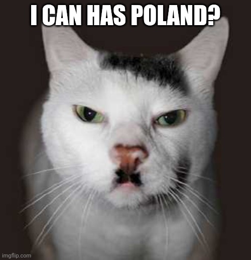 Nazi Cat | I CAN HAS POLAND? | image tagged in nazi cat | made w/ Imgflip meme maker