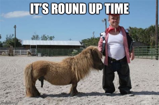 IT’S ROUND UP TIME | made w/ Imgflip meme maker