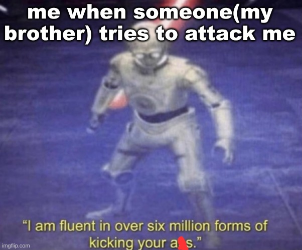 true | me when someone(my brother) tries to attack me | image tagged in i am fluent in over six million forms of kicking your ass | made w/ Imgflip meme maker