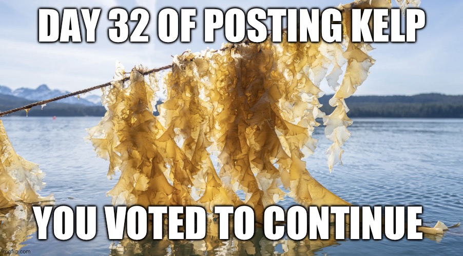 Kelp | DAY 32 OF POSTING KELP; YOU VOTED TO CONTINUE | image tagged in kelp | made w/ Imgflip meme maker