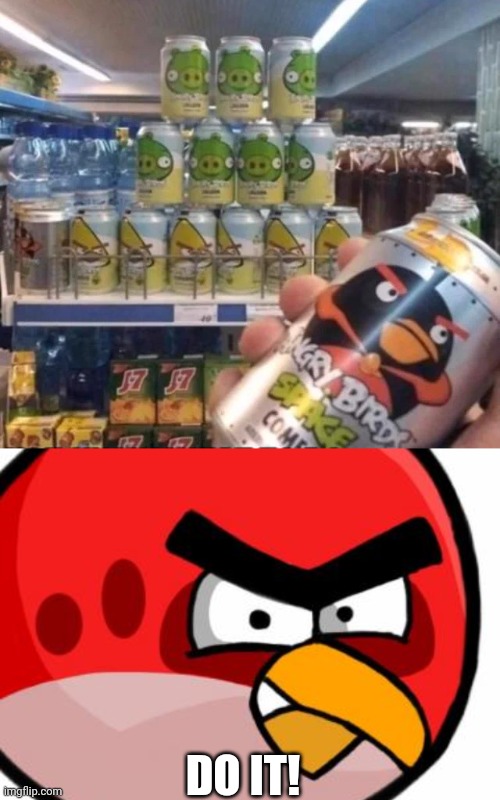 PLAYING THE GAME IRL | DO IT! | image tagged in angry bird,angry birds,video games | made w/ Imgflip meme maker