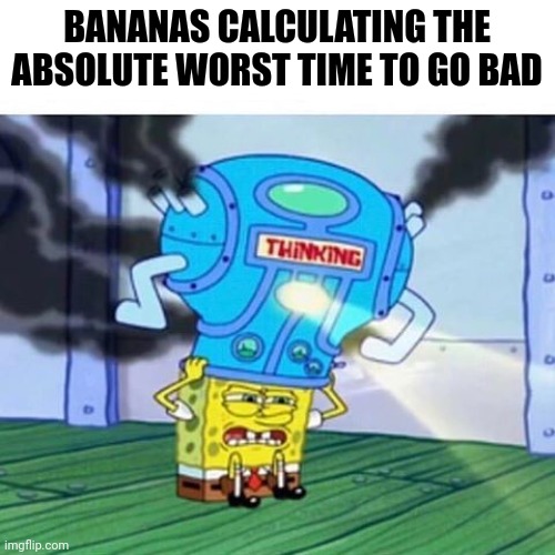 Bananas always go bad at the worst time | BANANAS CALCULATING THE ABSOLUTE WORST TIME TO GO BAD | image tagged in spongebob thinking hard,food memes | made w/ Imgflip meme maker