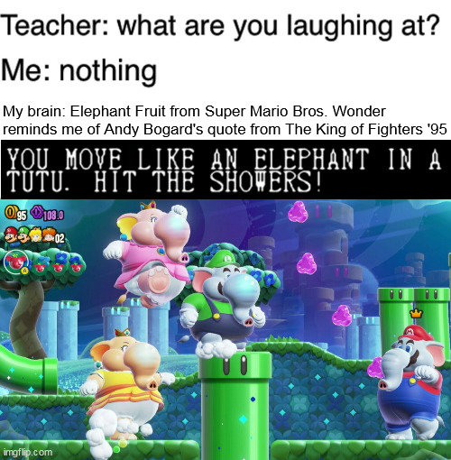 My brain: Elephant Fruit from Super Mario Bros. Wonder reminds me of Andy Bogard's quote from The King of Fighters '95 | image tagged in teacher what are you laughing at,elephant,super mario bros | made w/ Imgflip meme maker