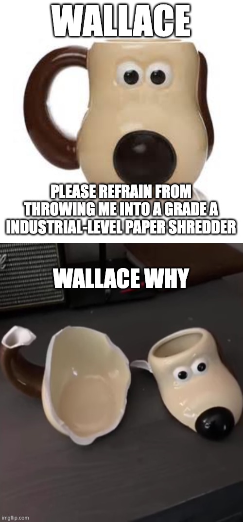 NOOOO | WALLACE; PLEASE REFRAIN FROM THROWING ME INTO A GRADE A INDUSTRIAL-LEVEL PAPER SHREDDER; WALLACE WHY | made w/ Imgflip meme maker