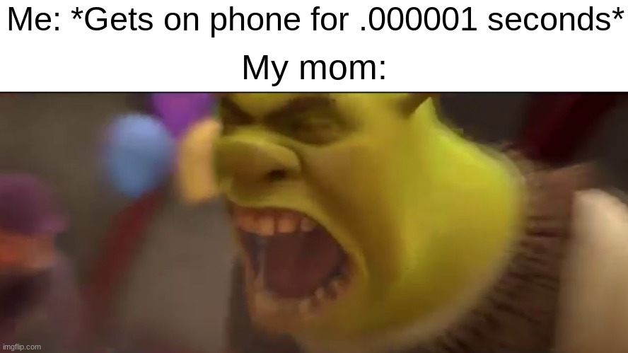 Can I not just get on imgflip for half a second??? | Me: *Gets on phone for .000001 seconds*; My mom: | image tagged in shrek screaming | made w/ Imgflip meme maker