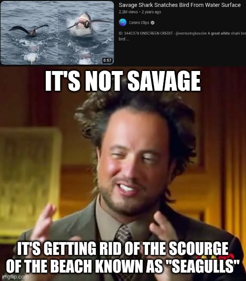 Sharks don't fly around, shit on your towel and steal your food. | IT'S NOT SAVAGE; IT'S GETTING RID OF THE SCOURGE OF THE BEACH KNOWN AS "SEAGULLS" | image tagged in memes,ancient aliens | made w/ Imgflip meme maker